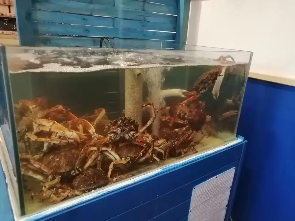 O'21_Turballe_slider_image_3