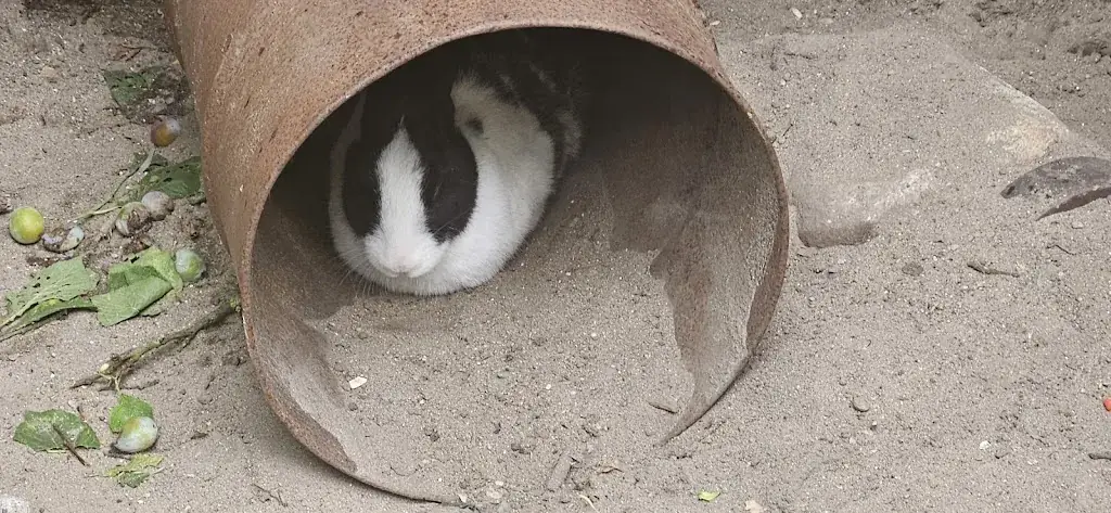 Henri-Michel Yere_Crêperie du Plat Pays_Turballe_review