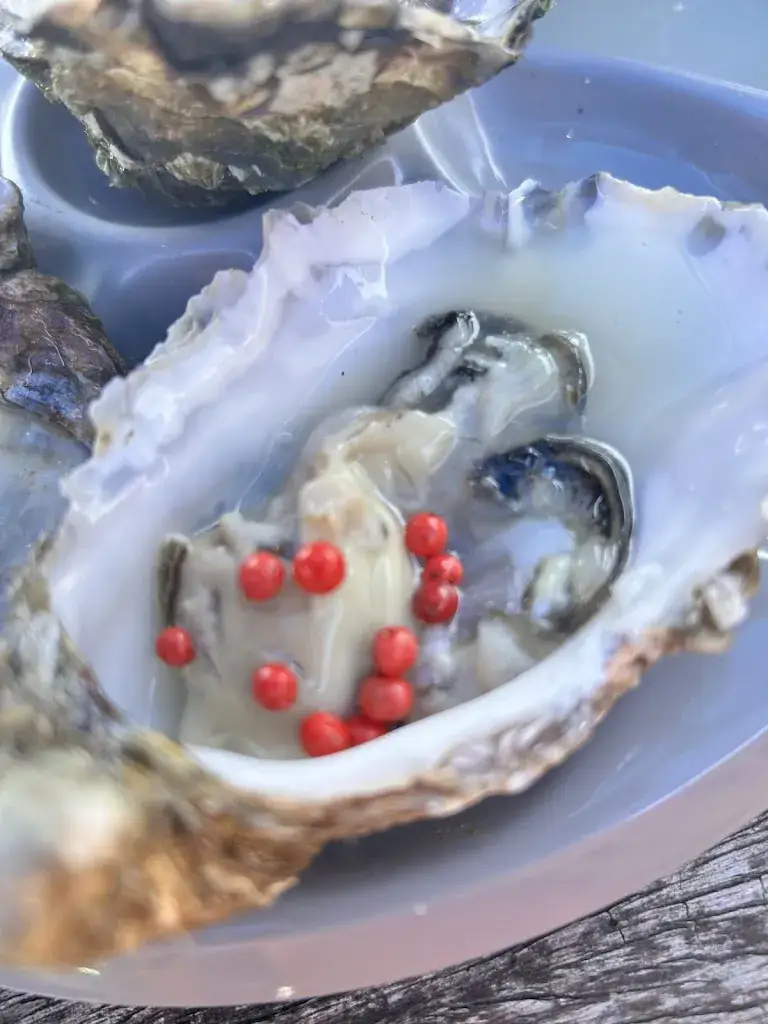 Menu_LA CABANE A HUÎTRES DE PEN BRON _Turballe_image_7