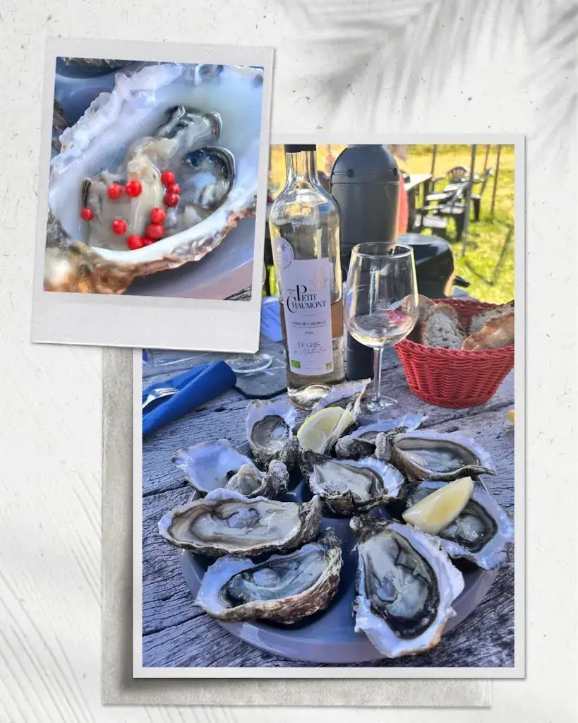 Frank Schmidt_LA CABANE A HUÎTRES DE PEN BRON _Turballe_review