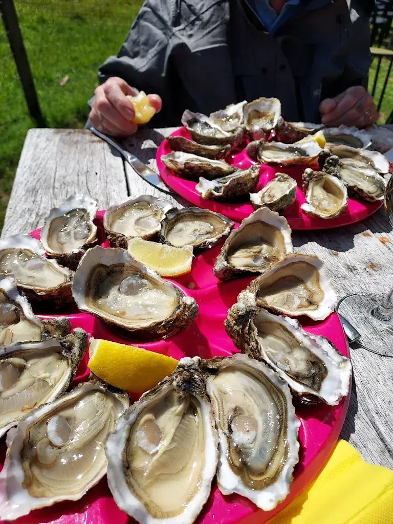 LA CABANE A HUÎTRES DE PEN BRON _Turballe_slider_image_2