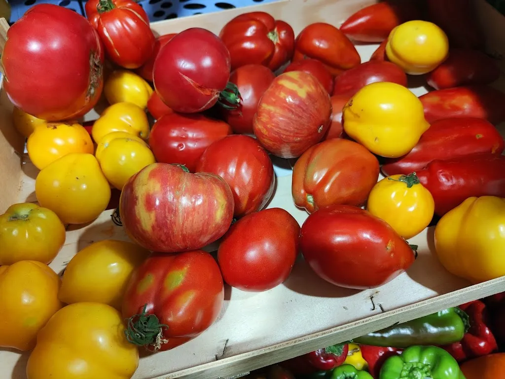 Menu_LES PIZZAS DU BOCAGE LE BOUPERE_Boupère_image_8