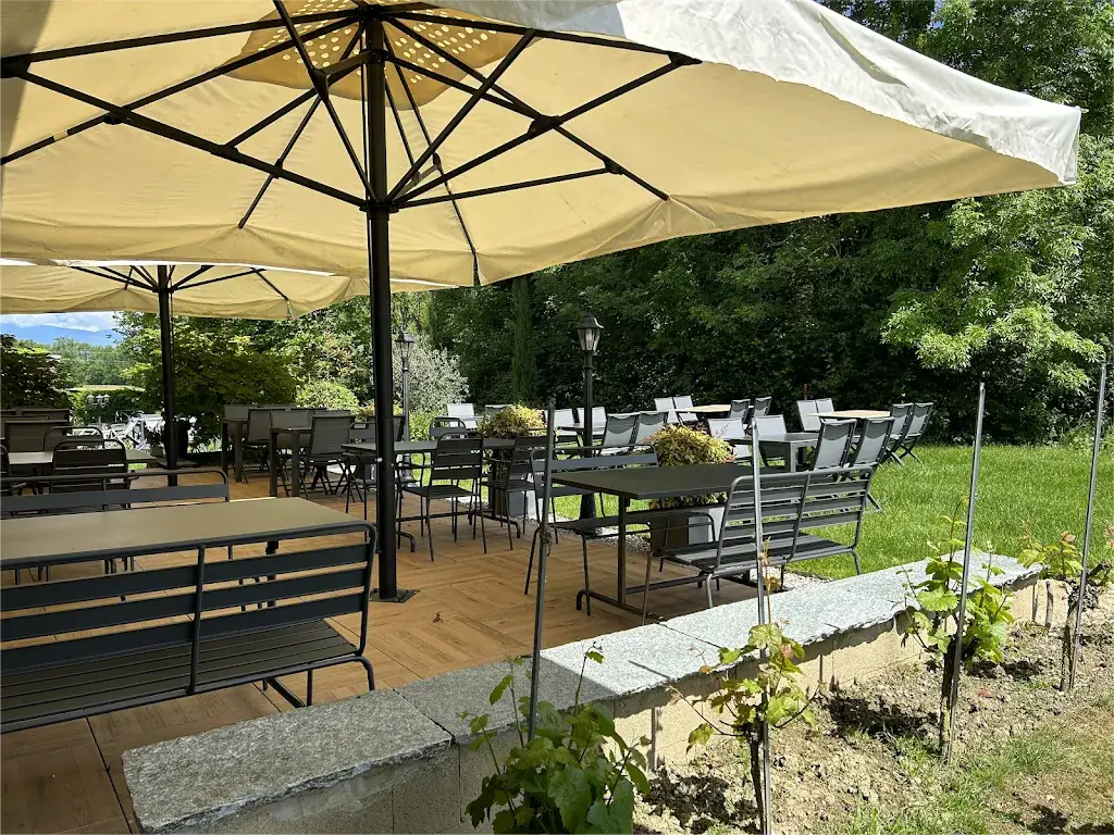 ProVino - Le Cellier ristorante a Echallens