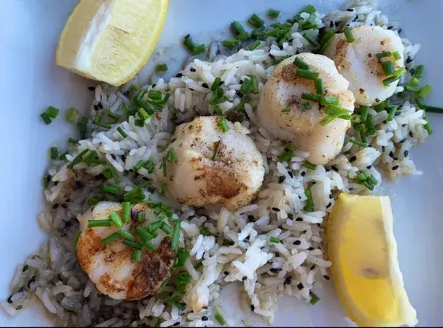 Carla Marina van der Boon_L’Annexe_Croisic_review