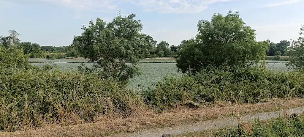 Thierry Boucard _Restaurant La Martinière_Pellerin_review