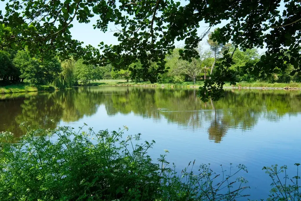 Restaurant la bretèche_Epesses_slider_image_3