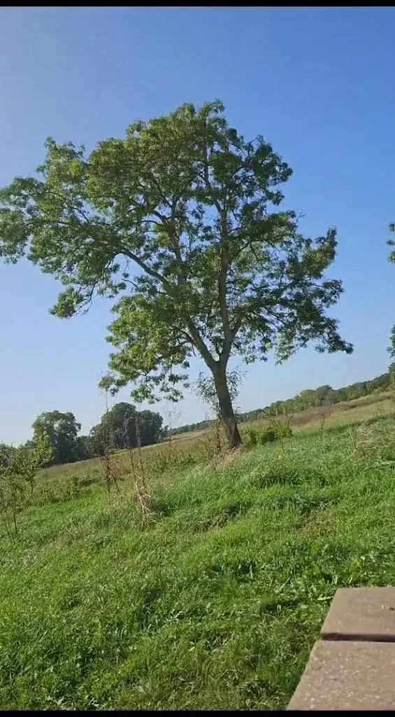 Kamila Magomedova_Guinguette En Rouge et Loire_Ponts-de-Cé_Bewertung