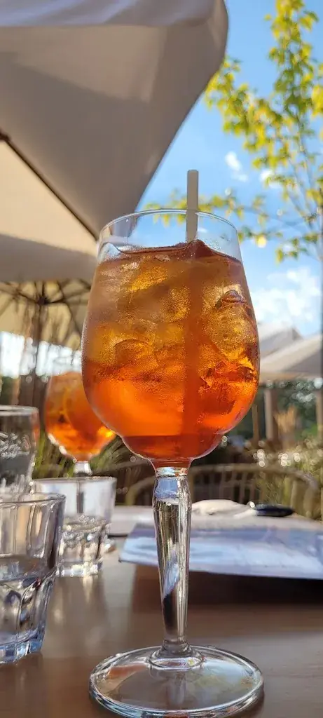 Isabelle Bourdarie_Tribu Herbretaise_Herbiers_review