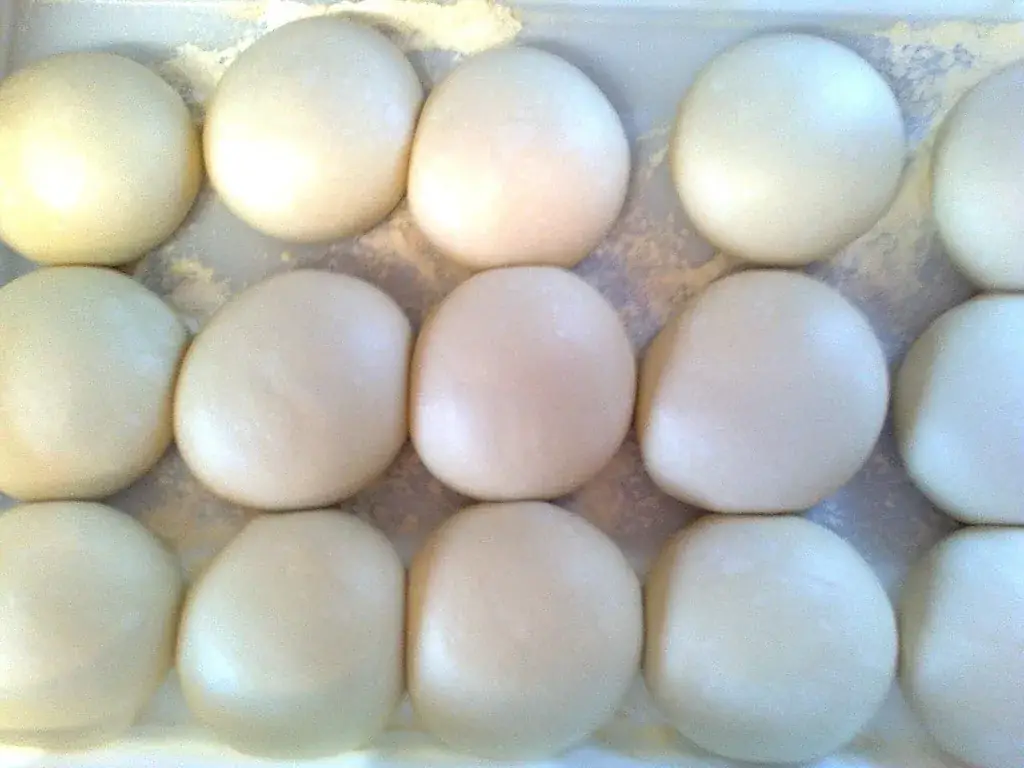 Menu_Louverné Pizza_Louverné_image_8