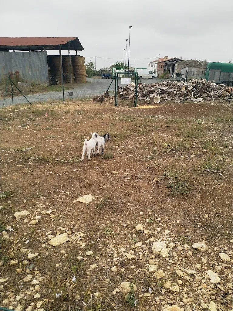 Nana Sacu_trailers Abbey_Maillezais_review