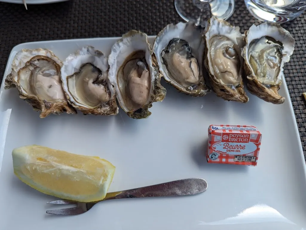 Dominique Moreau-Lafont_L'Ardoise des Sables_Sables-d'Olonne_recensione