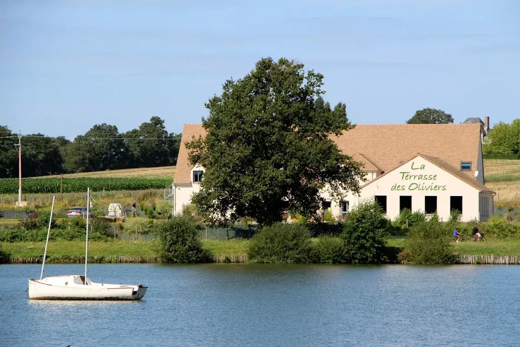 Area La Terrasse Des Oliviers restaurant in Mansigné