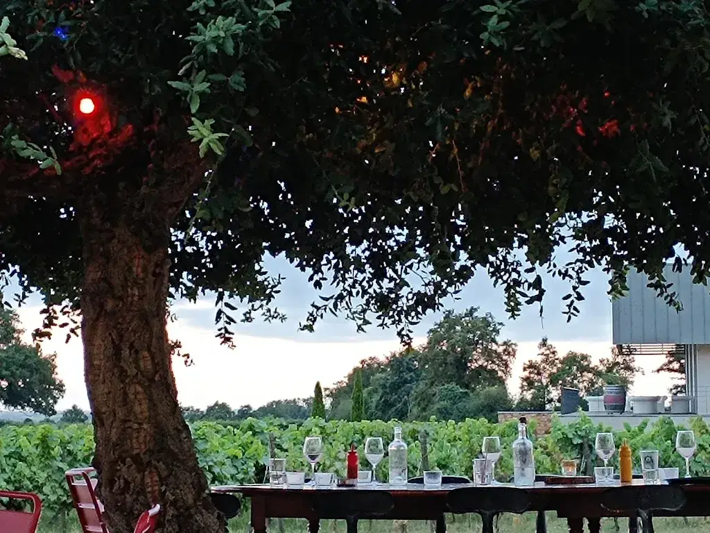 jean-pierre Baranger_Bistrot Mourat_Mareuil-sur-Lay-Dissais_review