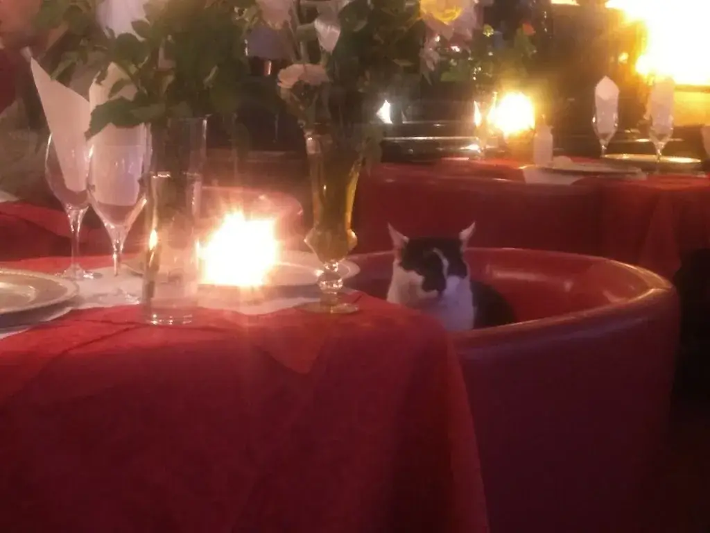 Marc Georges_La Pizzarelli_Mamers_review