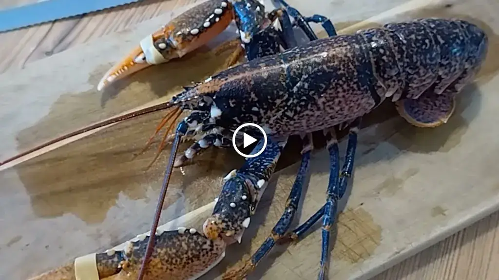 L'Étape_Mervent_slider_image_2