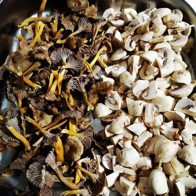 Menu_La Fontaine_Missillac_image_3