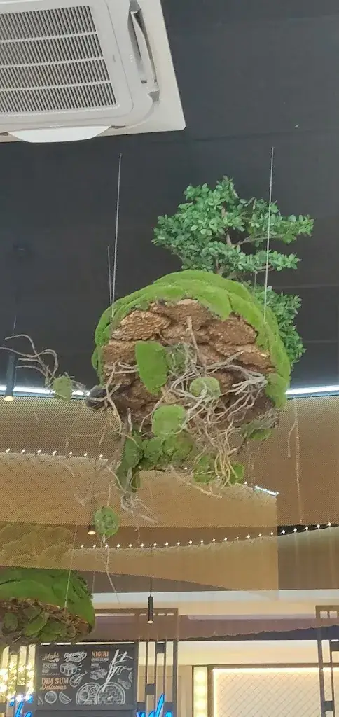 James Proctor_AU GRAND BUFFET_Mouilleron-le-Captif_review