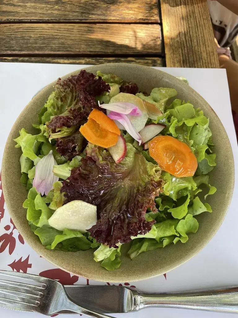 Boris Mateev_Auberge du Chalet des Enfants_Mont-sur-Lausanne_review