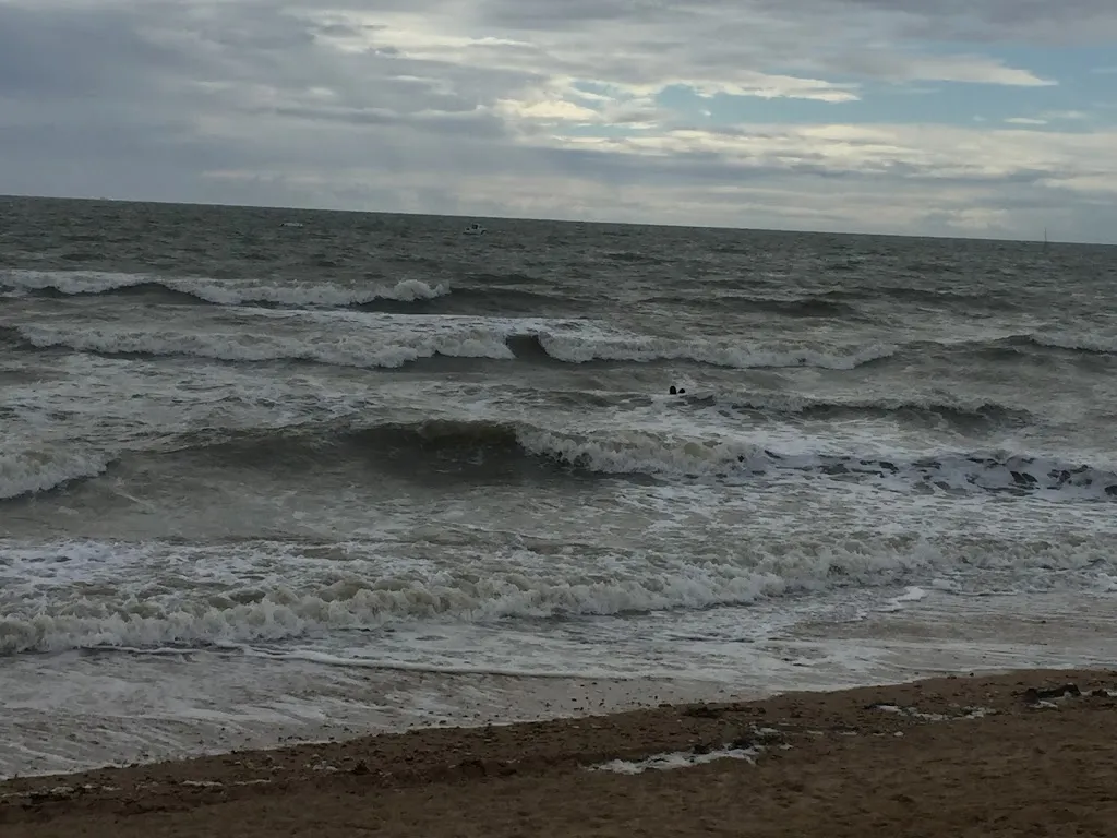 Mily_Le Bistrot Plage - Notre Dame de Monts_Notre-Dame-de-Monts_review