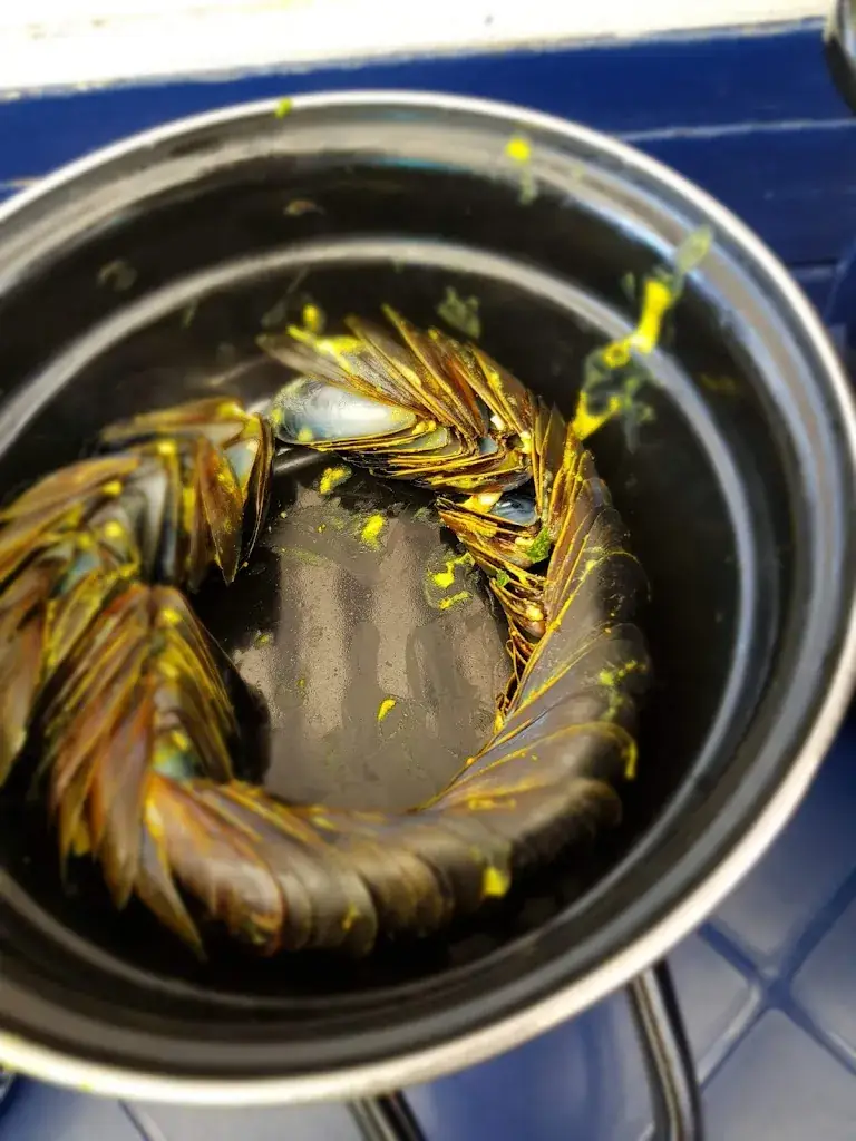 Menu_La Cabane _Notre-Dame-de-Monts_image_9