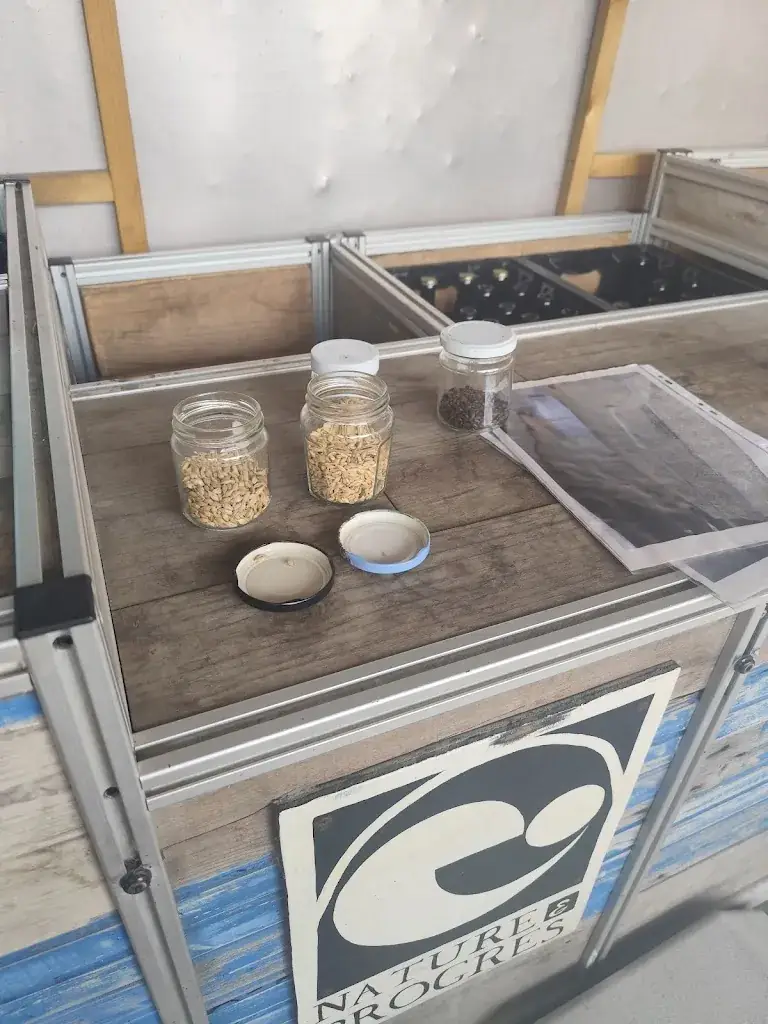 Margot Pasqué_Ferme-Brasserie La petite Ramonière_Notre-Dame-de-Monts_review