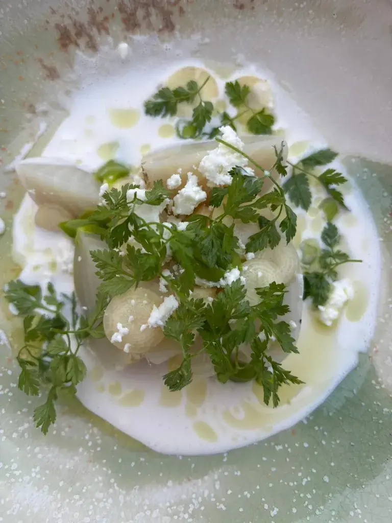 alexandra guillermit_Oiseau Oiseau_Nocé_review