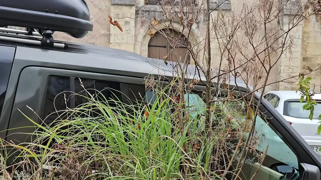 Oiseau Oiseau_Nocé_slider_image_2