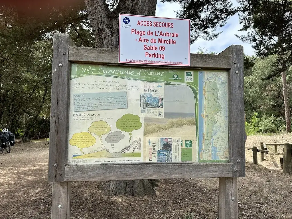 Carrington Stoffels_La Fleur de sel_Sables-d'Olonne_review