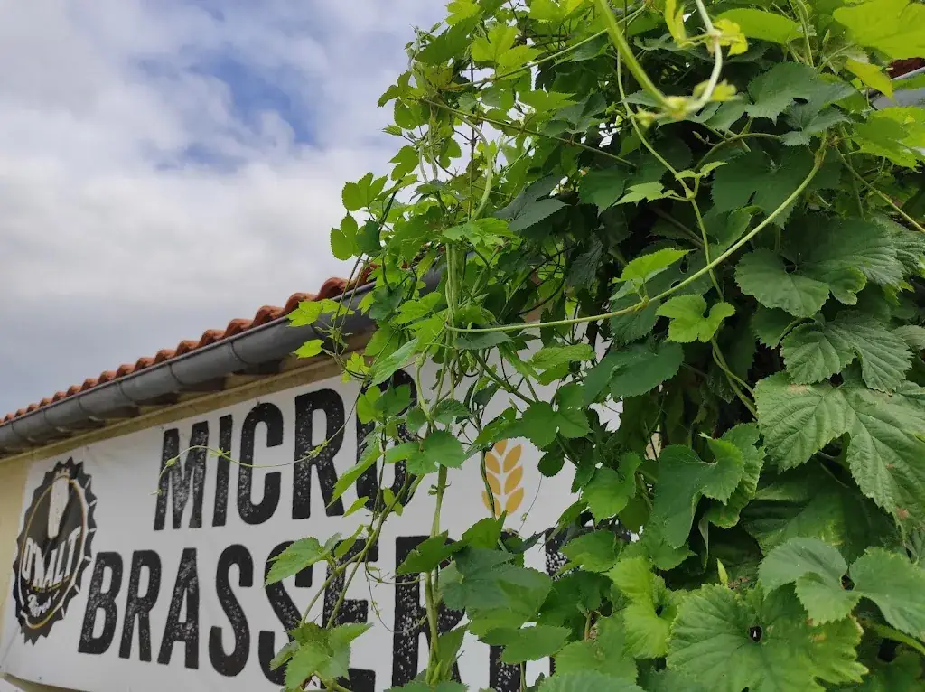 Brasserie Artisanale O'Malt_Oudon_slider_image_2