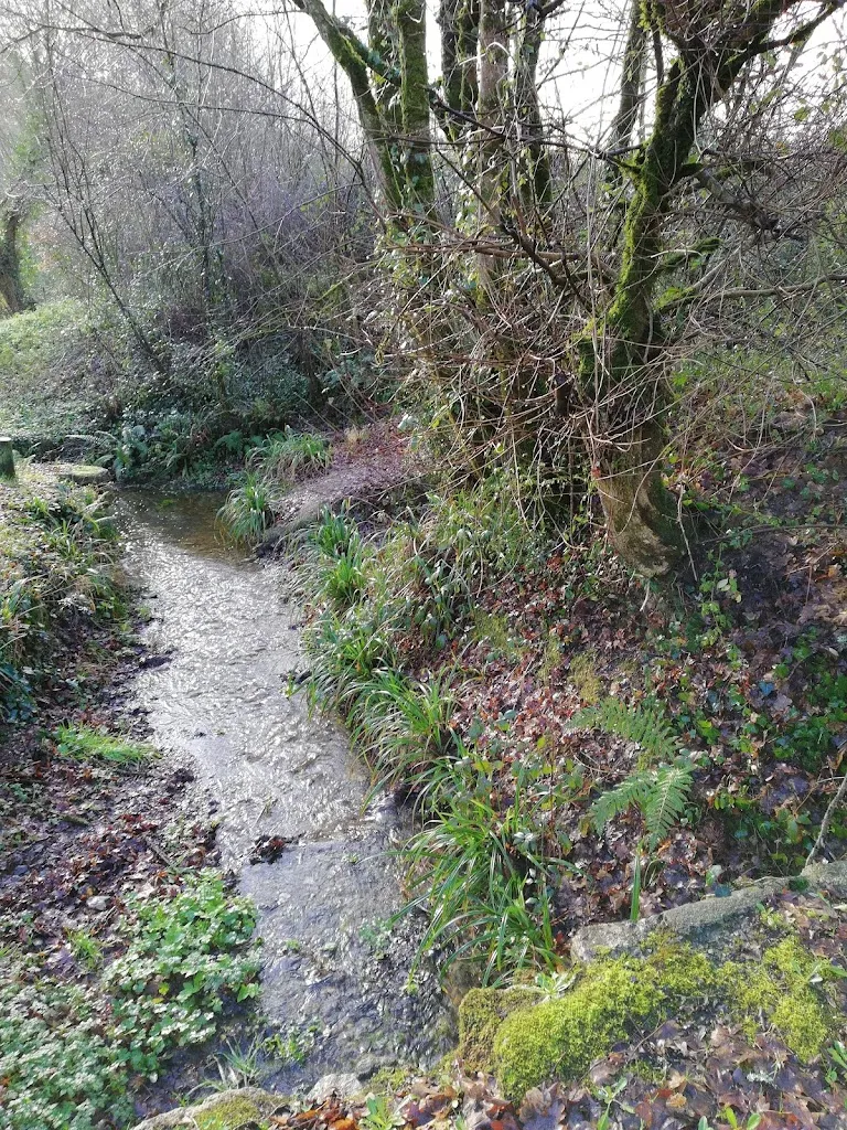 Le Pot Bleu_Pissotte_slider_image_2