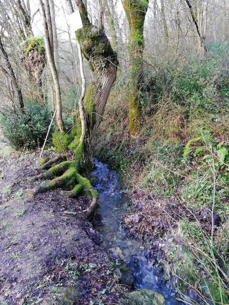 Le Pot Bleu_Pissotte_slider_image_3