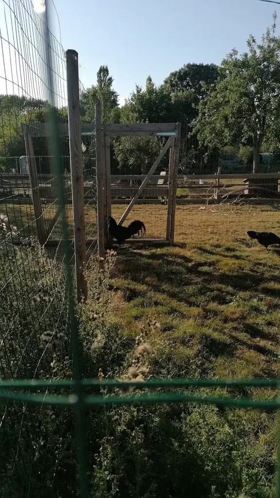 Maman Lysiane_L'Auberge de la Chaise Rouge_d'Anjou_review