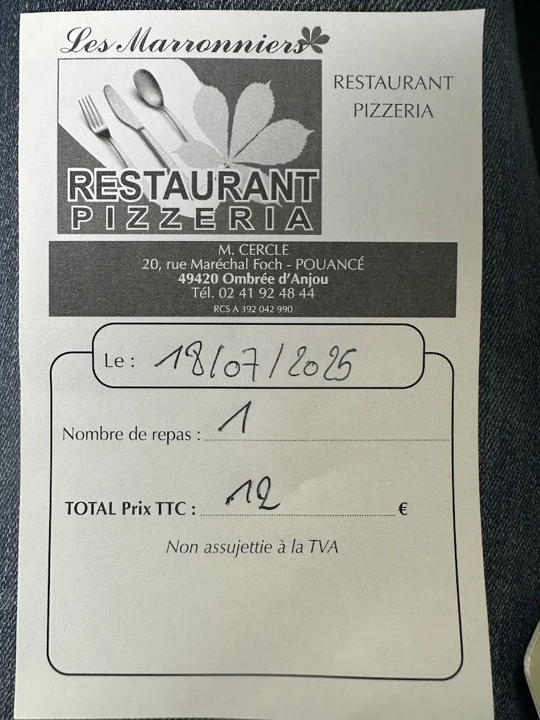 Melanie Hidrio_RESTAURANT LES MARRONNIERS_Pouancé_review