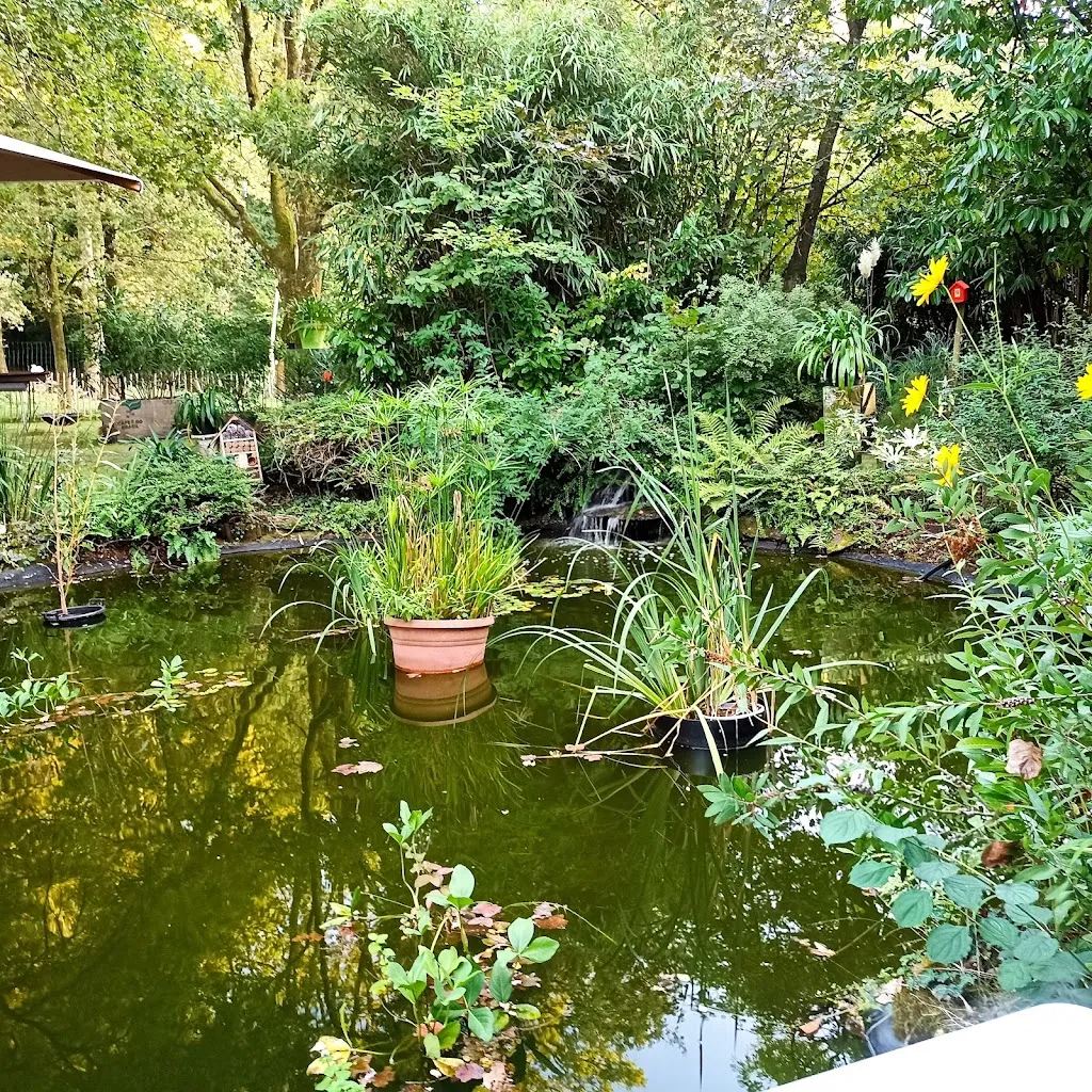 doïna Balan_Restaurant l'Orée Du Bois ORVAULT_Orvault_review