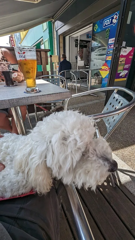 Gasgas_Le Brazza_Pré-en-Pail-Saint-Samson_review