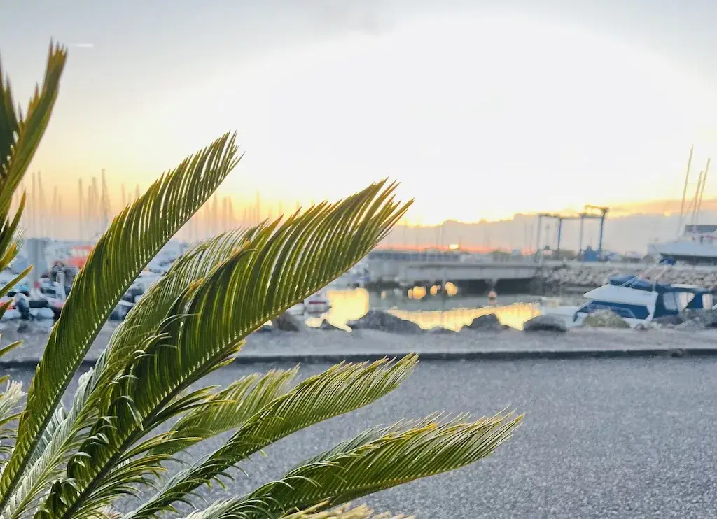 Sandra Martin_La Galerne_Pornichet_review