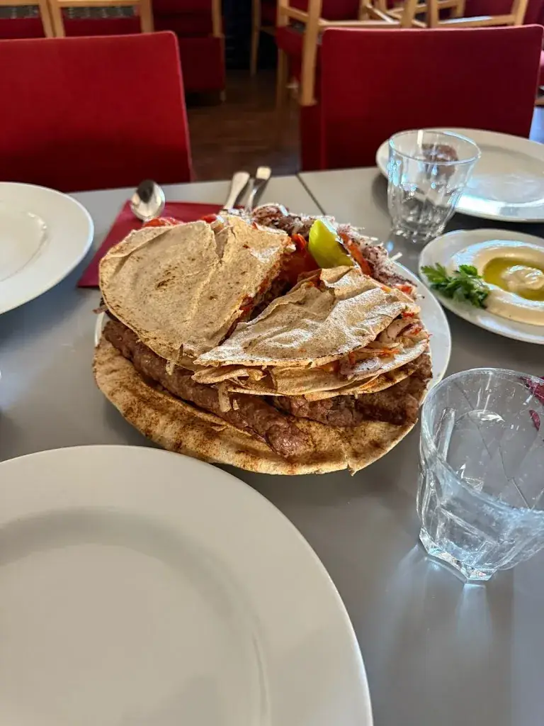 Tasnim Aldiwani_L'etoile D'orient_Ruaudin_review