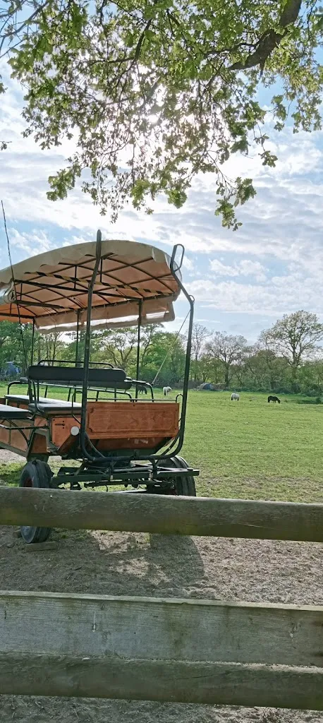 Esma CIKMAN_La Loge Briéronne_Saint-André-des-Eaux_review