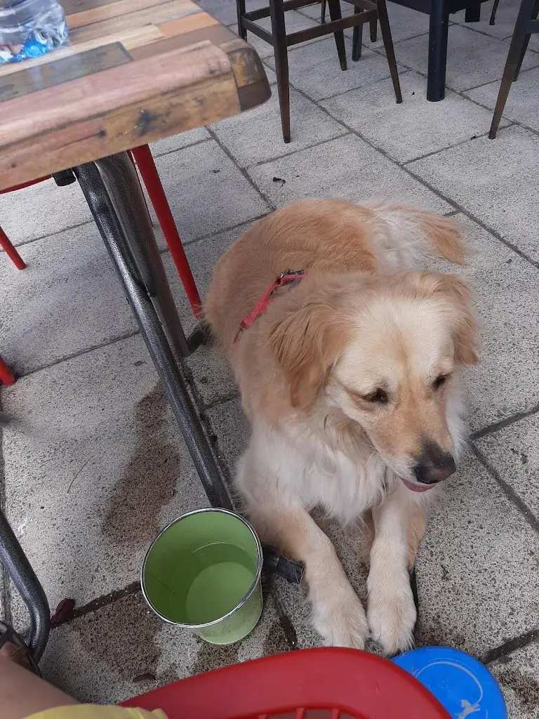 La Bascule_Saint-André-des-Eaux_slider_image_3