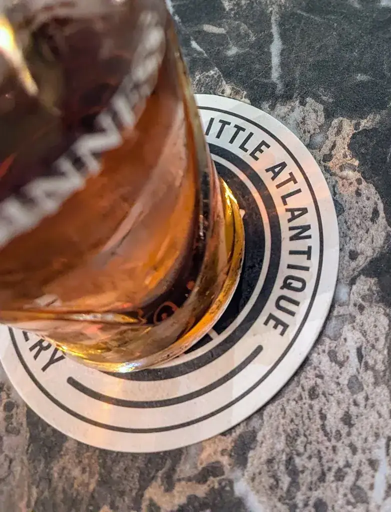 frederic barais_The Peat_Saint-André-des-Eaux_review