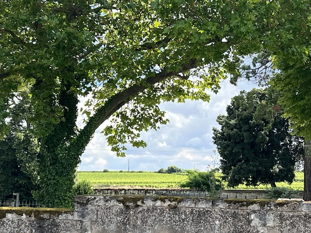 Anne-Marie O'Brien_Cave Robert et Marcel - Les Vignobles Edonis_Bellevigne-les-Châteaux_review