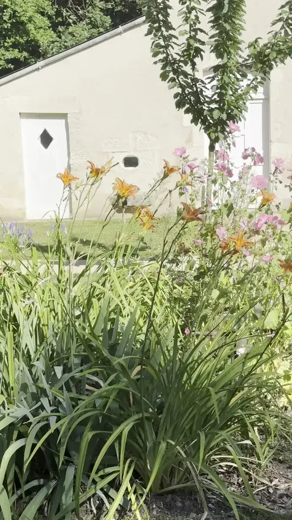 Elena P_Clos de la Court d'Aron_Saint-Cyr-en-Talmondais_review