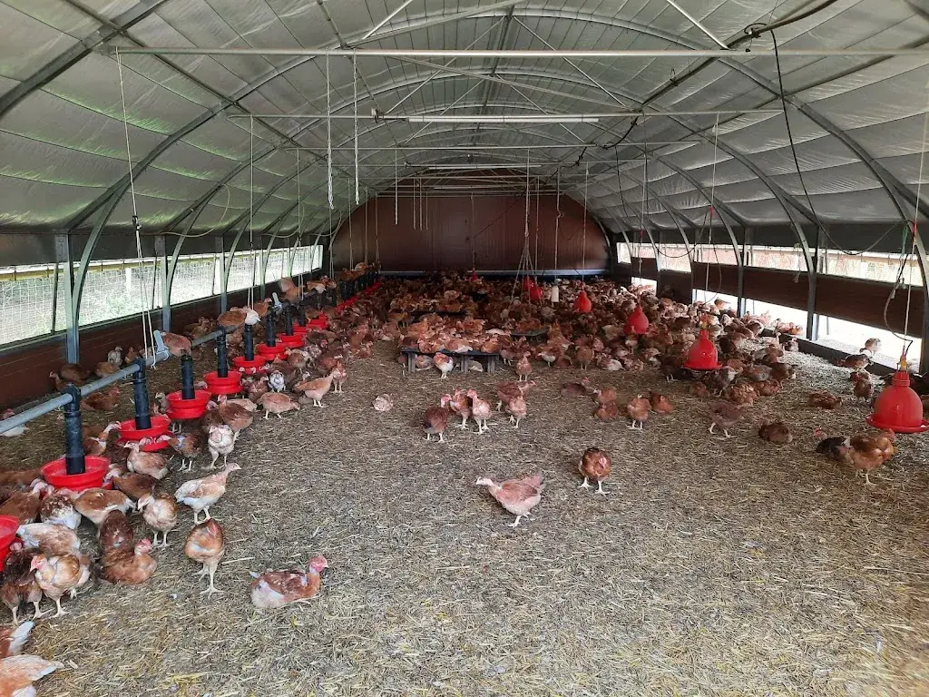 Kro Peps_La ferme du petit grain_Sainte-Flaive-des-Loups_review