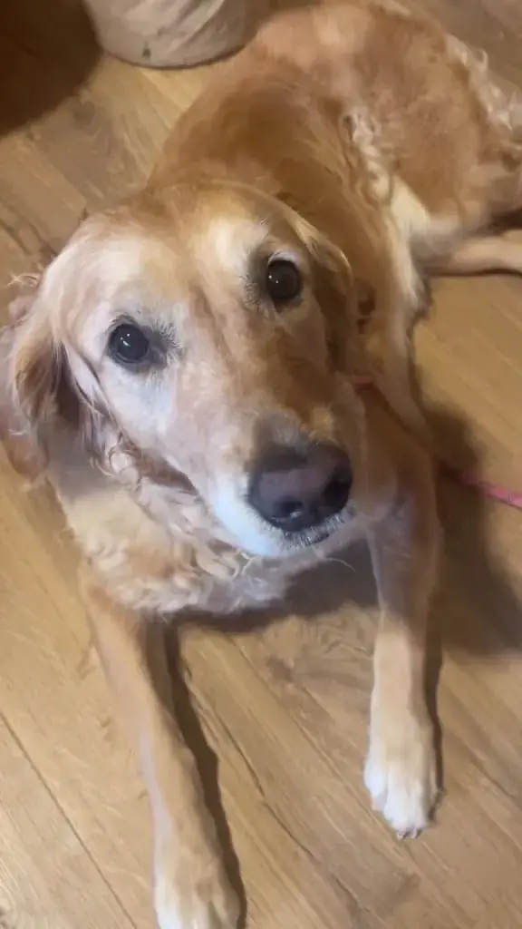 GABRIELE PIZZA BAR_Saint-Brevin-les-Pins_slider_image_2