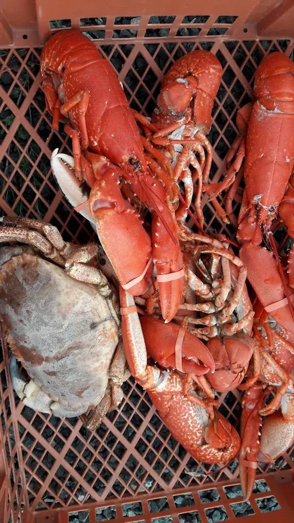 Menu_Le Terminus_Saint-Julien-de-Concelles_image_1