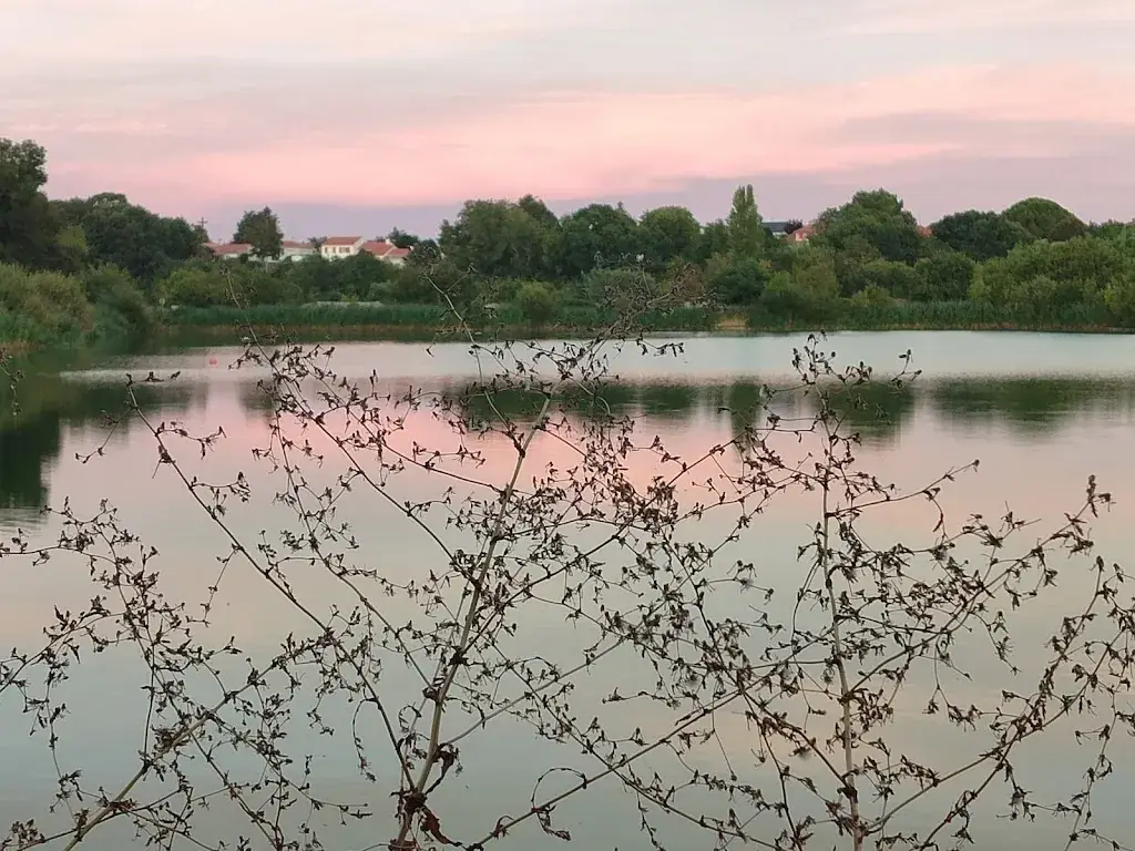 Forcadel Dominique_La Base Guinguette_Talmont-Saint-Hilaire_review