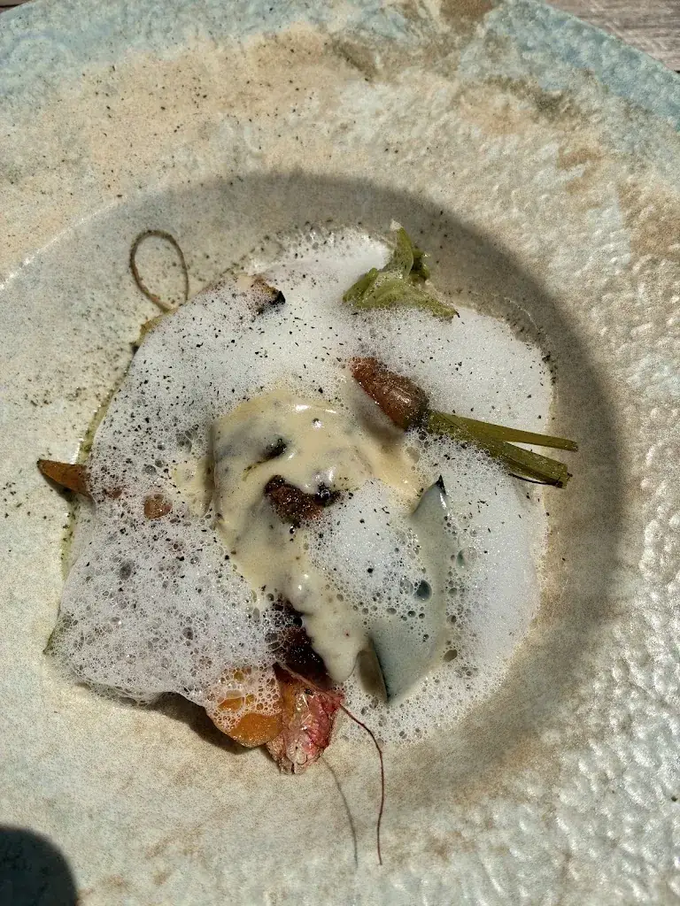 Santie Greyling Le Ludec_Domaine les Clayères_Talmont-Saint-Hilaire_recensione