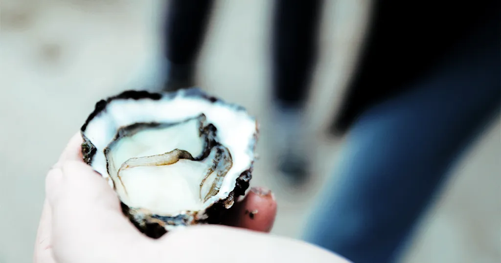 Menu_Le Park la Guittière_Talmont-Saint-Hilaire_image_7