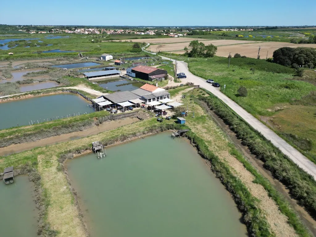 Victor Nugter_Le Park la Guittière_Talmont-Saint-Hilaire_review