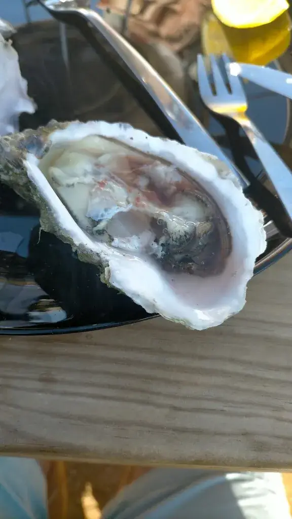 Menu_La Cabane du Ptitgas_Talmont-Saint-Hilaire_image_5